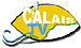 Calais tv
